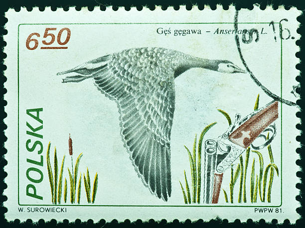 istock stamp printed by Republic of Poland 153889348