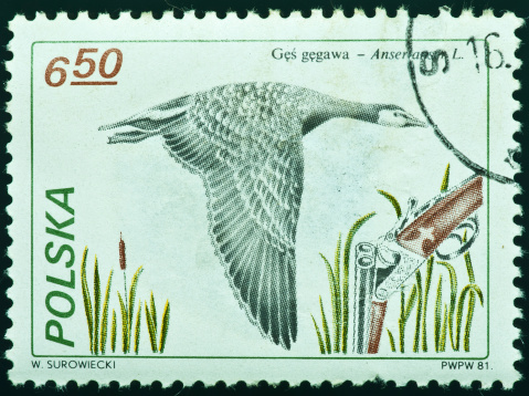 Ottoman postage stamp isolated on black