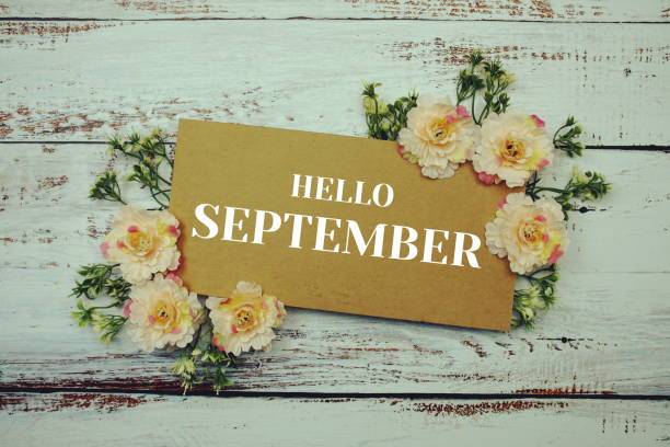 istock Hello September typography text decorate with flower on wooden background 1538903235