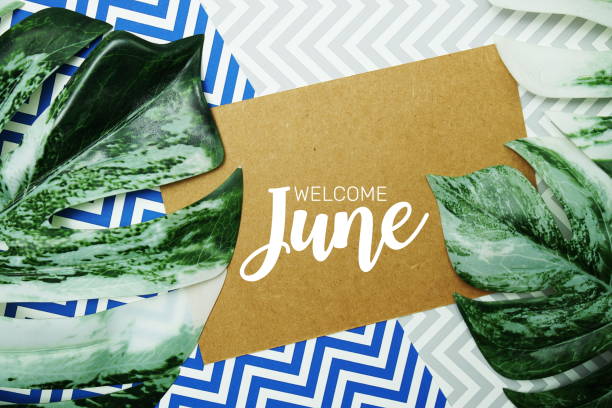 istock Welcome June typography text on paper card with alarm clock and Monstera leave 1538903789