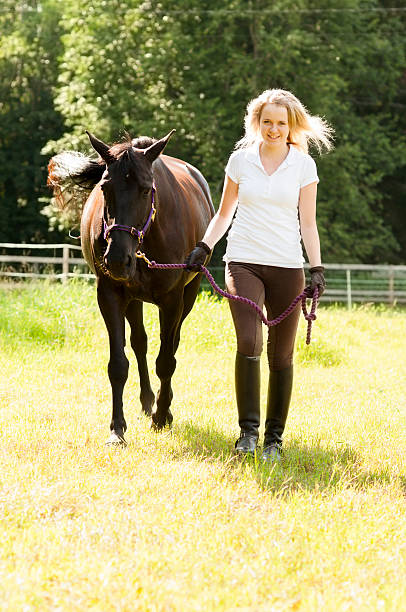 istock Horse rider 153893215