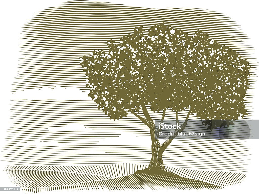 Silografia albero paesaggio Vignettatura - arte vettoriale royalty-free di Incisione - Tecnica illustrativa