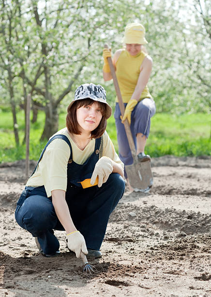 istock women works at vegetables garden 153895829