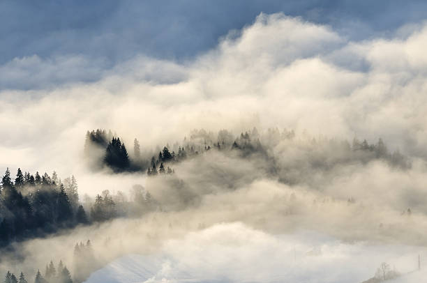 istock nature in detail 153896054