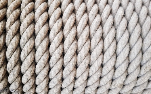 spiral rope of a large animal with a black eye.