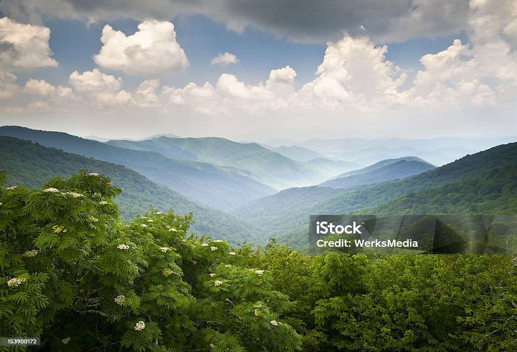 Montagnes de Blue Ridge Parkway avec vue sur un paysage pittoresque d'Asheville, en Caroline du Nord - Photo de Caroline du Nord - État américain libre de droits