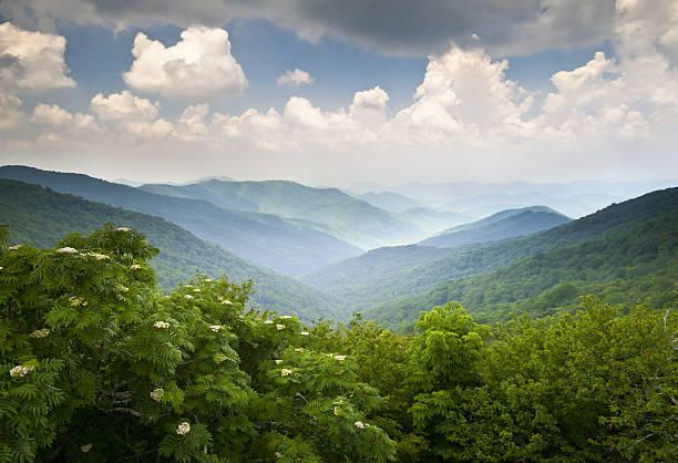 estrada blue ridge parkway pitoresca paisagem de verão montanhas ignorar asheville nc - blue ridge mountains imagens e fotografias de stock