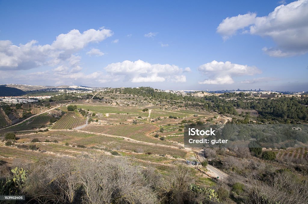 Montanhas da Judeia, Jerusalém - Foto de stock de Ajardinado royalty-free