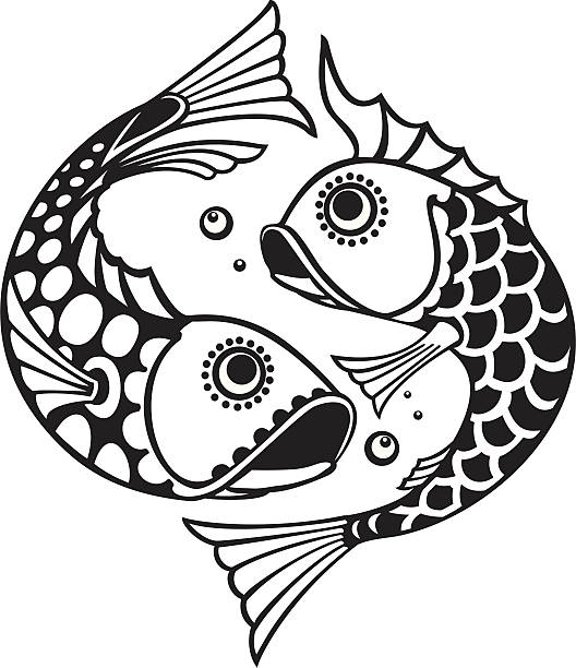 fish vector art illustration