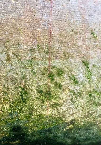 istock white stain wet moist concrete wall texture 1539095068