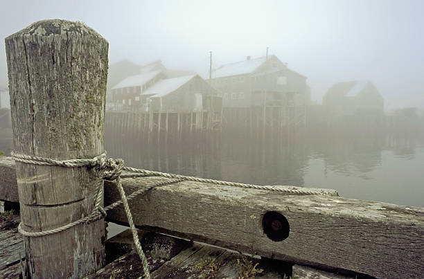 pesca wharf e da vila em um nevoeiro de manhã - grand manan island - fotografias e filmes do acervo