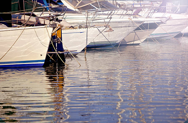 istock elegant boats in harbor 153914445