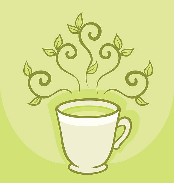 illustrazioni stock, clip art, cartoni animati e icone di tendenza di tazza di tè verde - tea cup tea green tea chinese tea