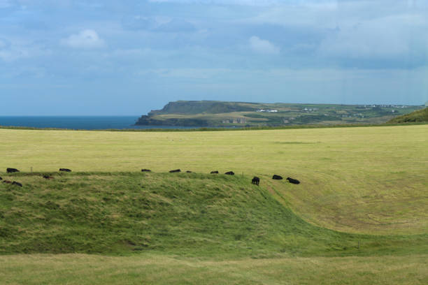 istock Countryside in Northern Ireland 1539157416