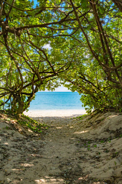 istock Hyakuna Beach in Okinawa 1539176643