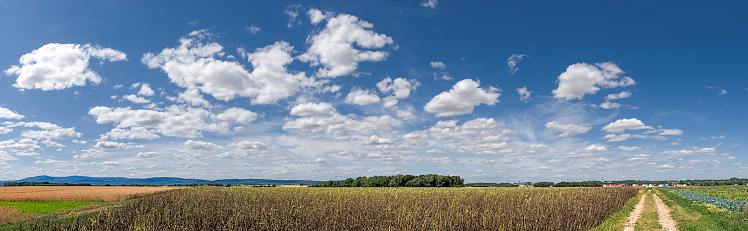 Panoramic view of cloudy sky with disheveled fair weather and cumulus clouds in front of blue sky in sunny weather and agricultural area at the lower edge