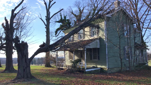 Storm topples a huge tree on top of a house