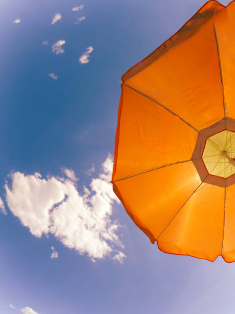 sea, sand, sun and umbrella!