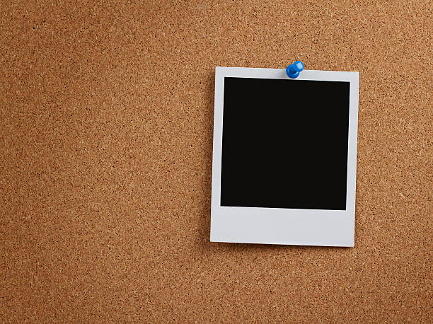 Blank instant photo at cork board