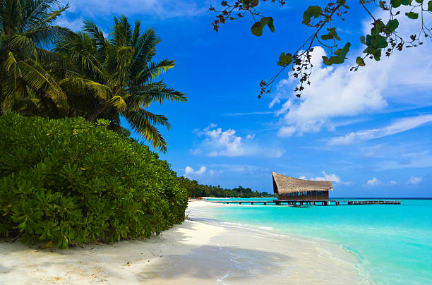 istock Diving club on a tropical island 153920375