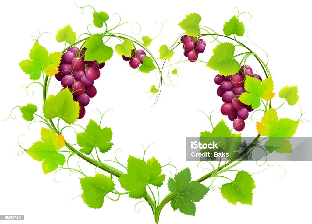 Winogron z liści w kształcie serca - Grafika wektorowa royalty-free (Roślina pnąca)
