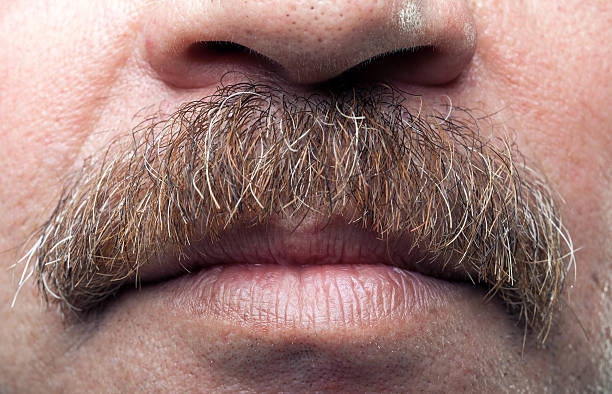 312,200+ Moustache Stock Photos, Pictures & Royalty-Free Images - iStock | Mustache icon, Mustache pattern, Movember