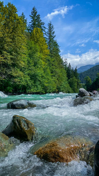 Landscape with mountain, forest and a river in front