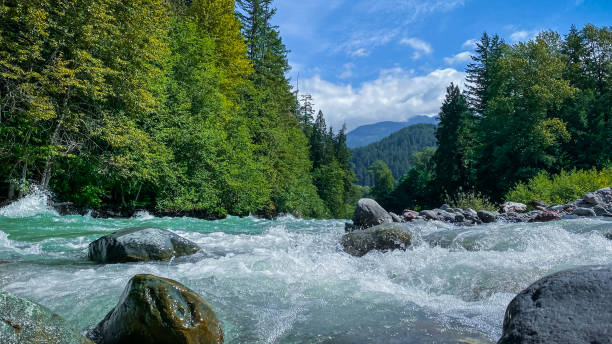 istock Landscape with mountain, forest and a river in front 1539228269