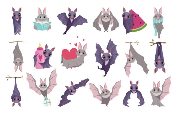 Cute bats set. Lovely bat character in different situations.Childish prints for apparel, stickers, cards vector illustration Cute bats set. Lovely bat character in different situations.Childish prints for apparel, stickers, cards cartoon vector illustration bats stock illustrations