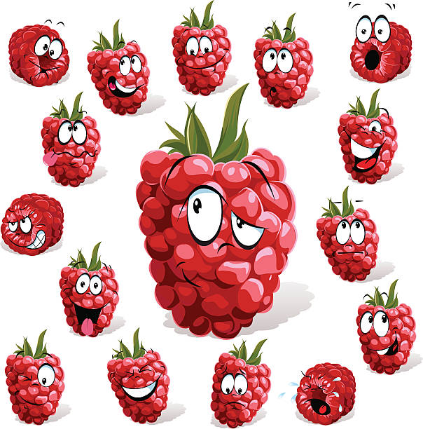 raspberry cartoon vector art illustration