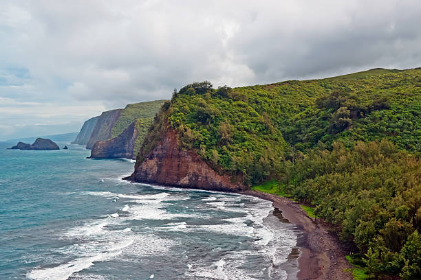 istock Polulu Valley beach on Big Island in Hawaii 153928491