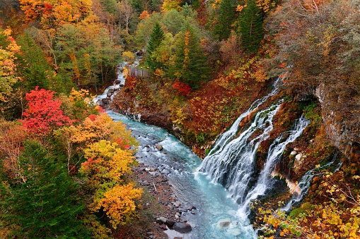 Aerial view of beautiful Shirahige Waterfalls tumbling down into Biei River with vibrant fall colors on the cliff, in Shirogane Hot Spring Resort in Biei, Hokkaido, Japan
Beautiful scenery of Japanese