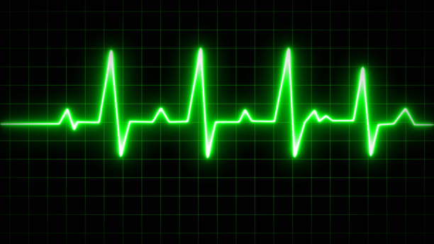 istock Vector Illustration ECG Heartbeat Display. Heart beat. Electrocardiogram. One pulse line. ECG heartbeat monitor, cardiogram heart pulse line wave. Electrocardiogram medical background. 1539339000