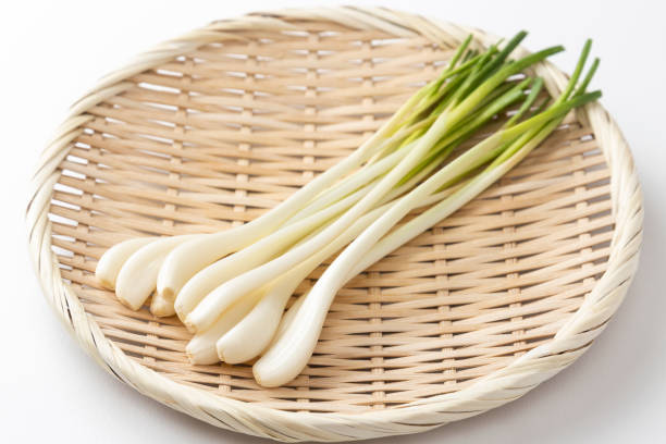 istock Japanese shallots on white background. 1539343204