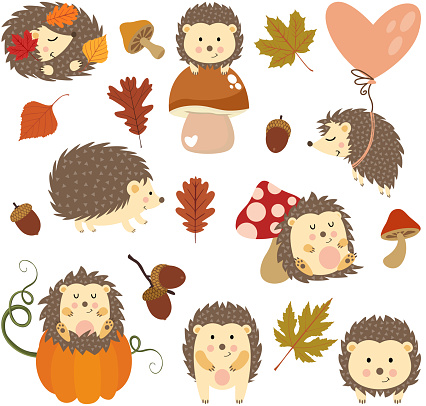 Scalable vectorial representing a set of cute autumn hedgehog, element for design, illustration isolated on white background.