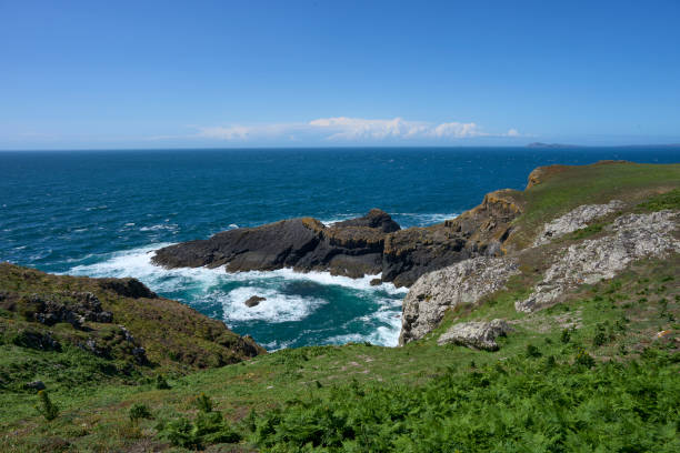 istock Coast of Skomer Island 1539353232