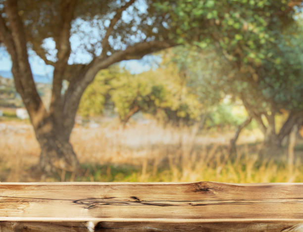 istock Empty wooden board or table top and blurred olive orchard at the background. Empty place for product display. 1539356945