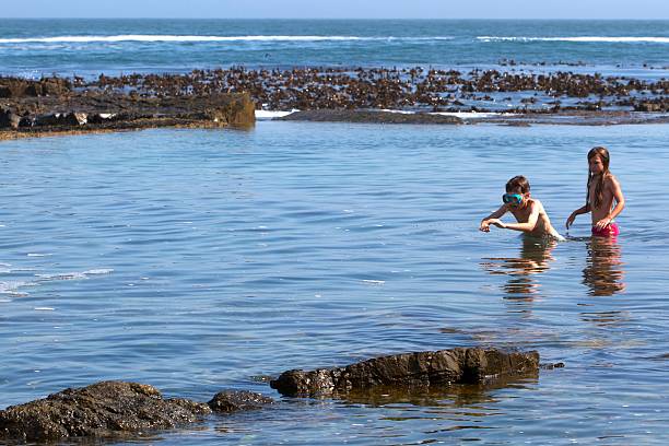 Two Children About to Swim in a Rock Pool Two children, a 12 year old boy and an 8 year old girl, about to swim in a rock pool with blue water.  The boy is wearing a pair of goggles. hermanus stock pictures, royalty-free photos & images