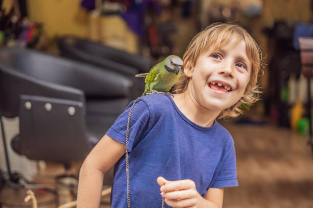 istock Kid playing with his pet green parrot 1539361784
