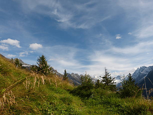 outono nos alpes da áustria - arlberg mountains ötztal switzerland erholung imagens e fotografias de stock