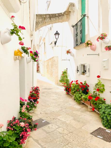 istock Flowers in bloom  in Puglia 1539438283