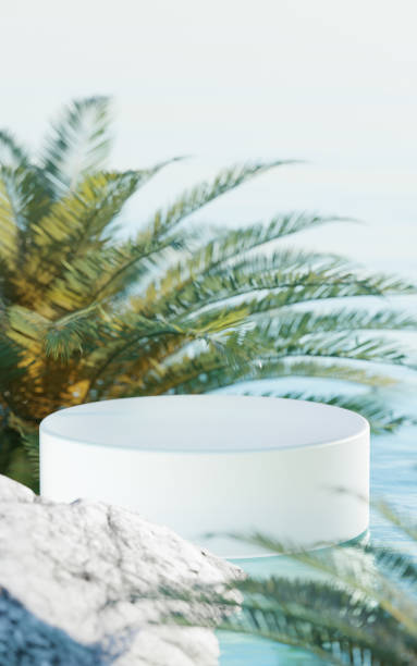 istock Tropical summer scene with a podium for product display. 3d rendering. 1539481186