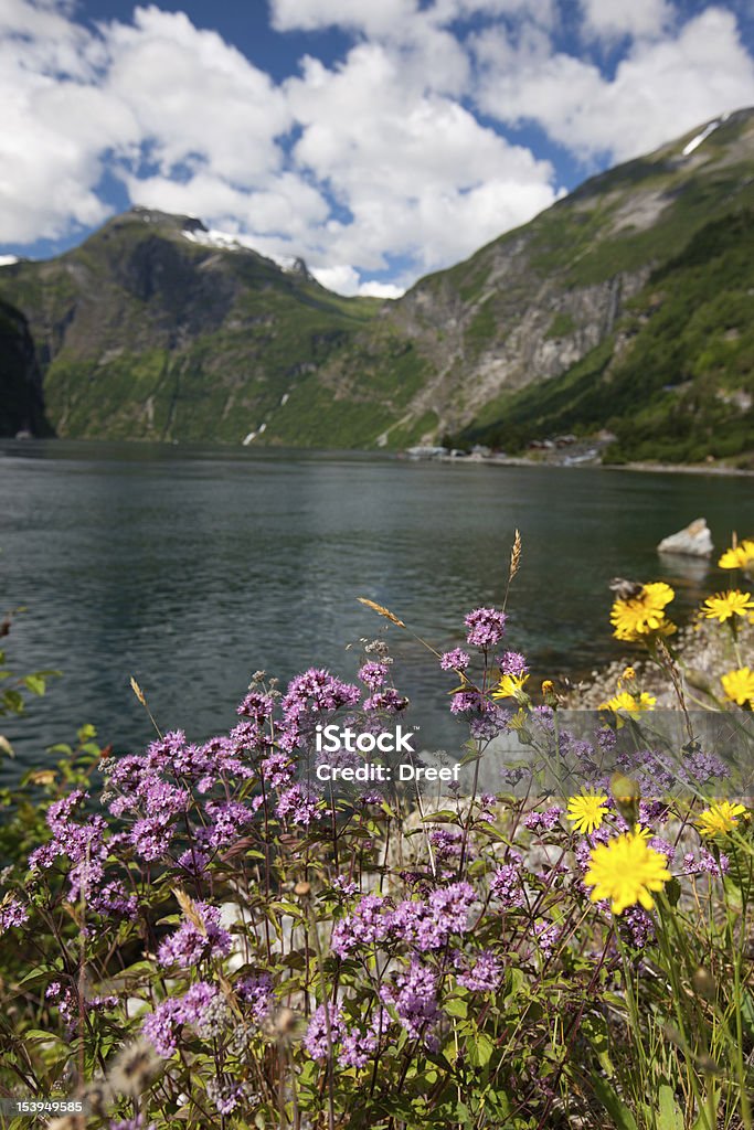 Noruega - Foto de stock de Azul royalty-free