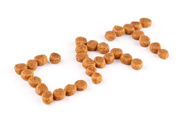 istock Cat word with food 153951105