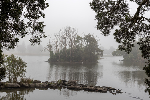 Misty morning landscape at the Duck Pond, Centennial Park, Sydney, Australia. Trees on an island reflected on pond’s still water, naturally framed by tree branches and a rock reef in the foreground.