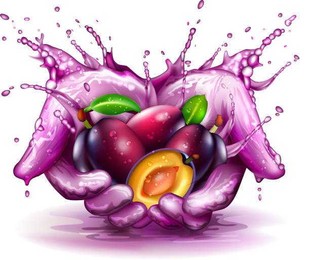 plum chlapać koncepcja - white background part of wet ideas stock illustrations