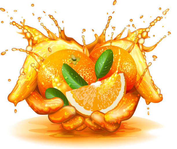 оранжевый плещущиеся концепция - orange spray fruit leaf stock illustrations