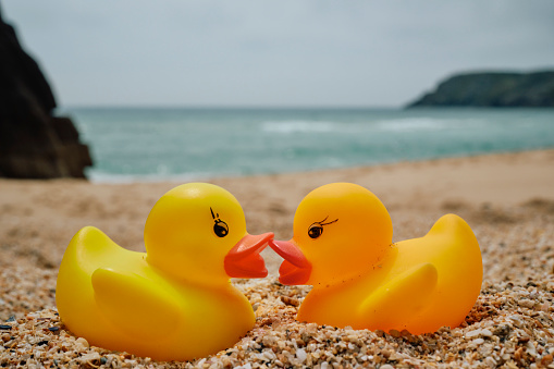 Conceptual, holiday romance, two rubber ducks touching beaks on the beach at Pedn Vounder Beach, Cornwall.