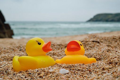 Conceptual Beach holiday, two rubber ducks on the sand at Pedn Vounder Beach, Cornwall.