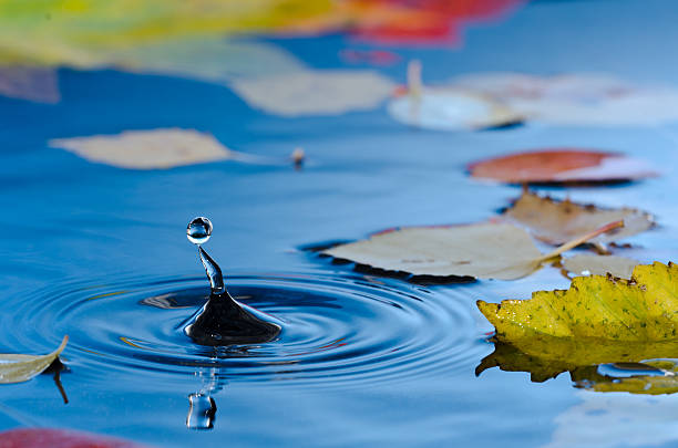 istock Water droplet in pond with autumn leaves 153954122